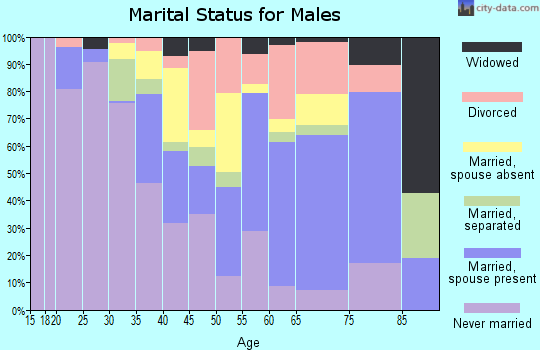 Zip code 23890 marital status for males