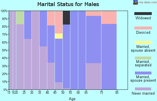 Zip code 23898 marital status for males