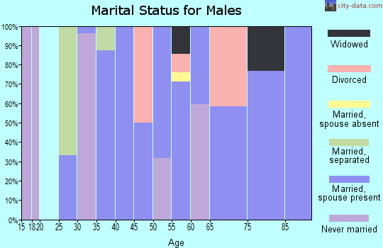 Zip code 23899 marital status for males