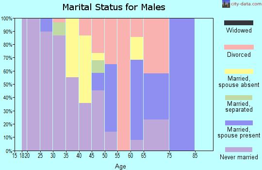 Zip code 23915 marital status for males
