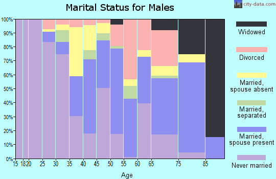 Zip code 23917 marital status for males
