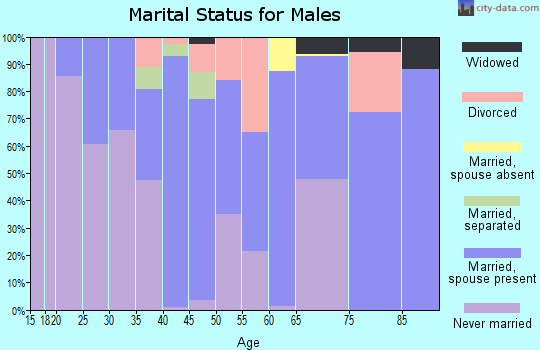 Zip code 23920 marital status for males