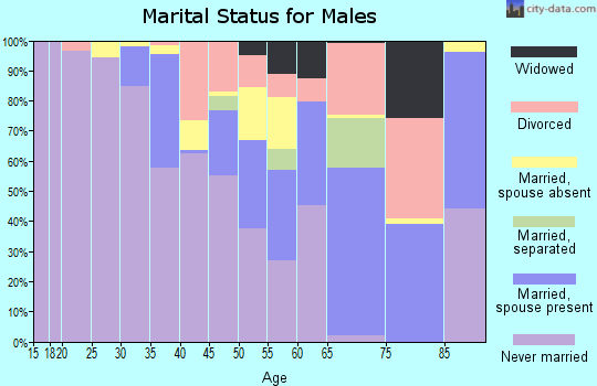 Zip code 23922 marital status for males