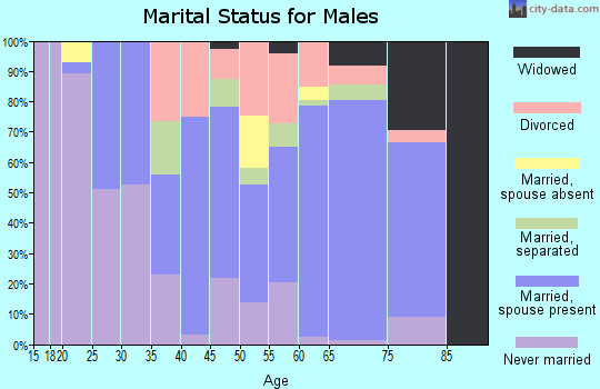 Zip code 23924 marital status for males