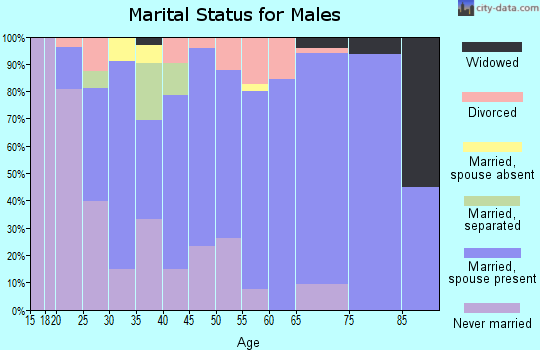 Zip code 23930 marital status for males