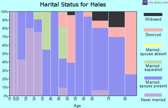 Zip code 23937 marital status for males