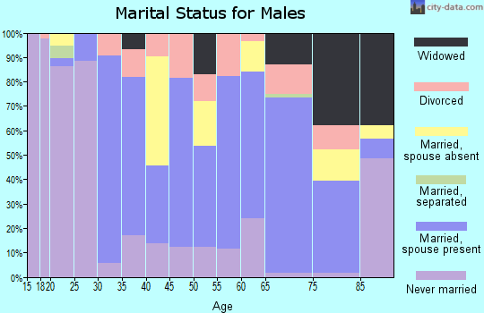 Zip code 23947 marital status for males