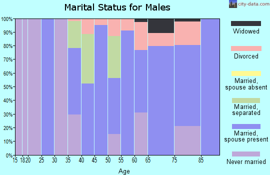 Zip code 23958 marital status for males