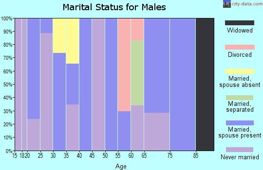 Zip code 23964 marital status for males