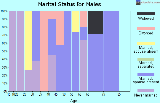 Zip code 23967 marital status for males
