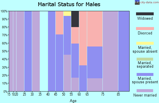 Zip code 23968 marital status for males