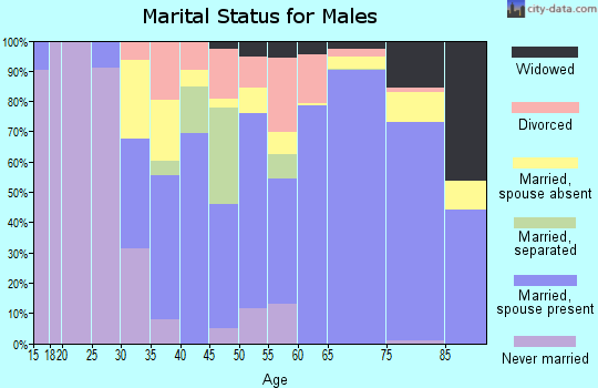 Zip code 23970 marital status for males