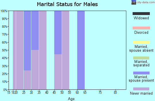 Zip code 24011 marital status for males
