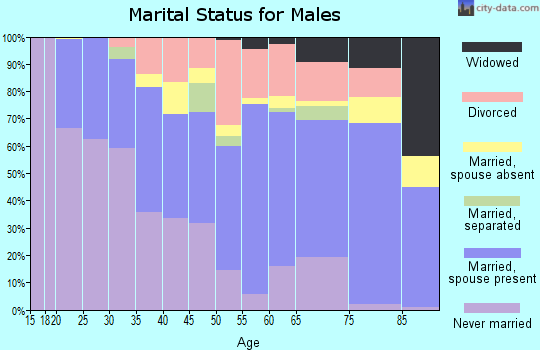 Zip code 24012 marital status for males