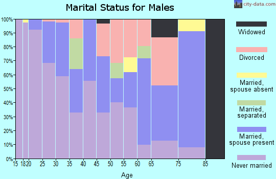 Zip code 24013 marital status for males