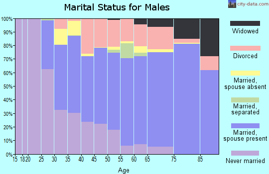 Zip code 24014 marital status for males