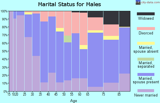 Zip code 24015 marital status for males