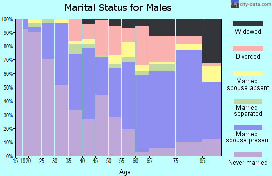 Zip code 24017 marital status for males