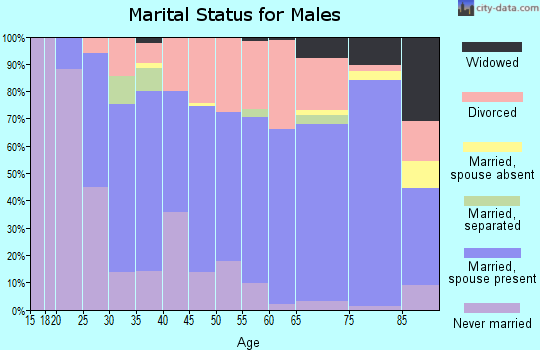 Zip code 24055 marital status for males