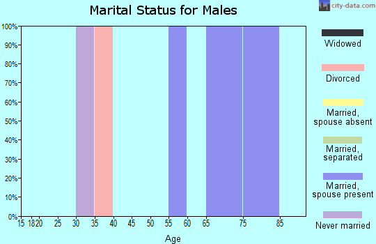 Zip code 24058 marital status for males