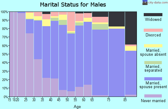Zip code 24060 marital status for males