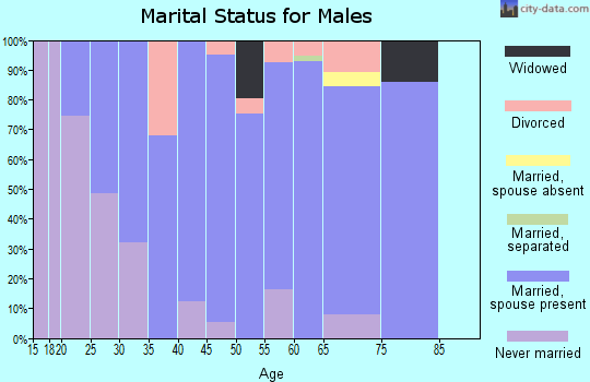Zip code 24064 marital status for males