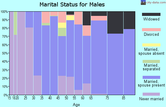 Zip code 24065 marital status for males