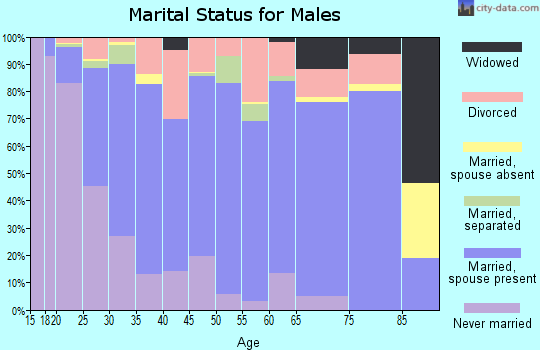 Zip code 24073 marital status for males