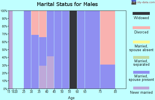 Zip code 24077 marital status for males