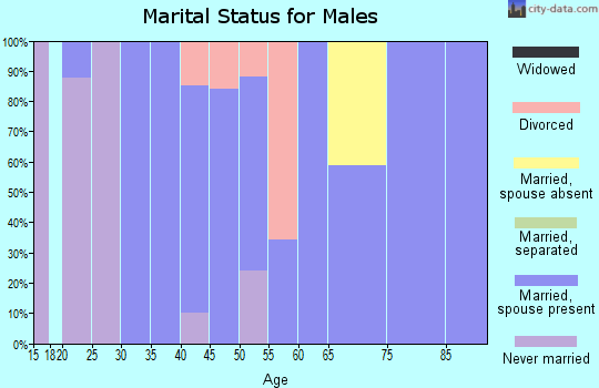 Zip code 24083 marital status for males