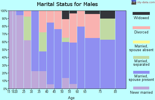 Zip code 24087 marital status for males