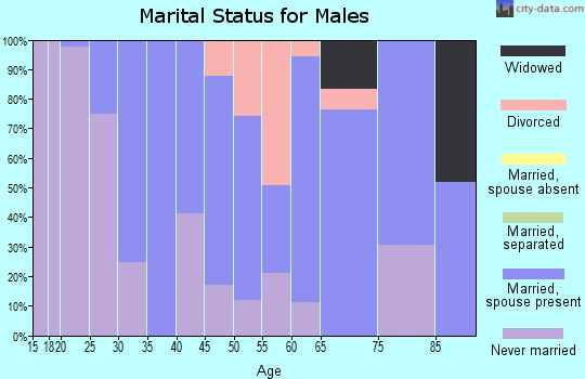 Zip code 24088 marital status for males