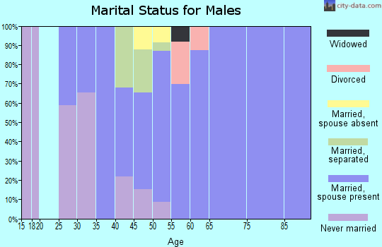 Zip code 24089 marital status for males
