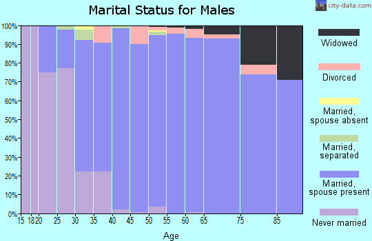 Zip code 24090 marital status for males
