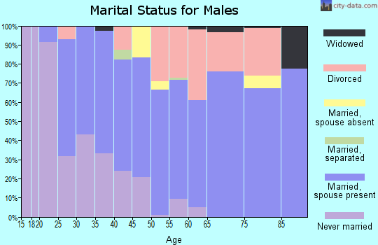 Zip code 24091 marital status for males