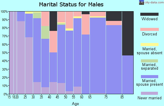 Zip code 24121 marital status for males