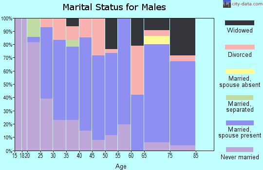 Zip code 24124 marital status for males