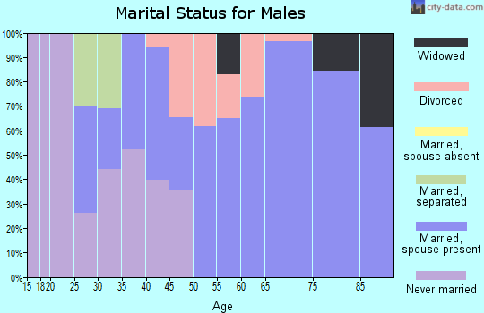 Zip code 24128 marital status for males