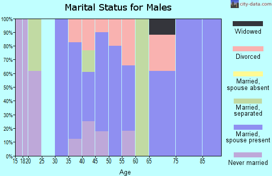 Zip code 24133 marital status for males