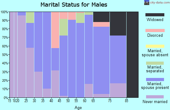 Zip code 24134 marital status for males