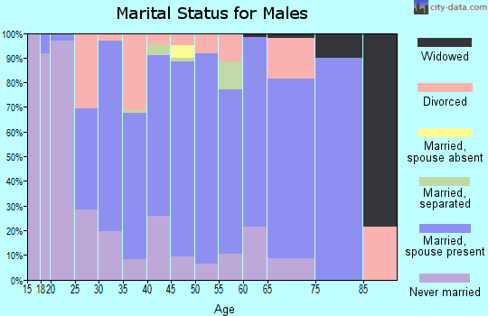 Zip code 24136 marital status for males