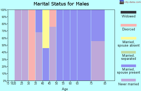 Zip code 24139 marital status for males