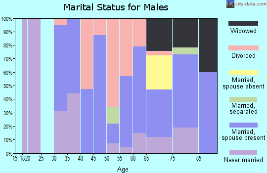 Zip code 24147 marital status for males