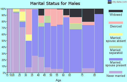 Zip code 24148 marital status for males