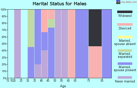 Zip code 24150 marital status for males