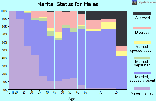 Zip code 24153 marital status for males