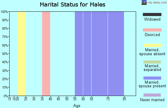 Zip code 24161 marital status for males