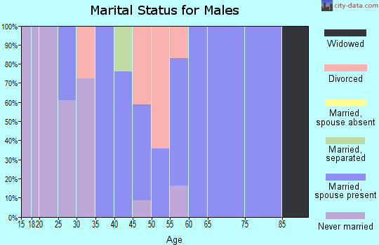 Zip code 24162 marital status for males