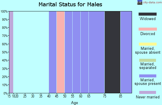 Zip code 24168 marital status for males