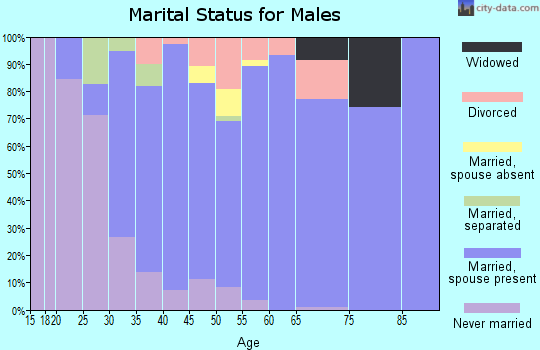 Zip code 24175 marital status for males